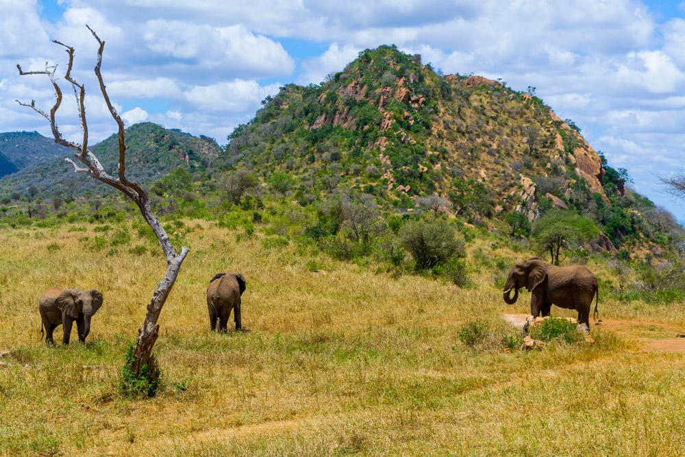 Ngulia Safari Lodge Tsavo Exterior foto